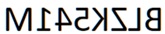 Figure for question 13, option (a)