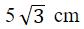 Figure for question 23, option (a)