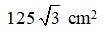Figure for question 2, option (b)