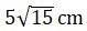 Figure for question 21, option (a)