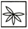 Figure for question 10, option (d)
