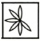 Figure for question 10, option (c)