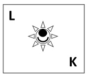 Figure for question 19, option (b)
