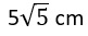Figure for question 18, option (a)