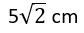 Figure for question 18, option (b)