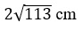 Figure for question 15, option (c)