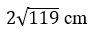 Figure for question 15, option (b)