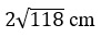 Figure for question 15, option (a)