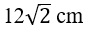 Figure for question 11, option (c)