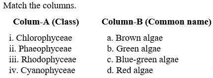 Figure for question 22