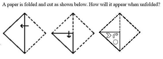 Figure for question 19