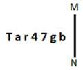 Figure for question 15