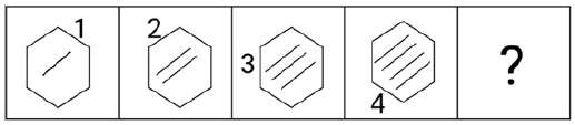 Figure for question 13