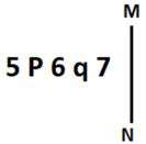 Figure for question 19