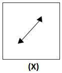 Figure for question 24