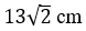 Figure for question 13, option (c)