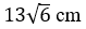 Figure for question 13, option (d)