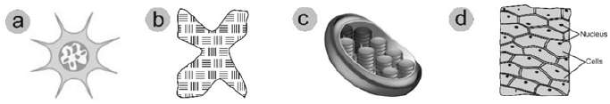 Figure for question 3