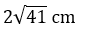 Figure for question 12, option (c)