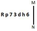 Figure for question 2