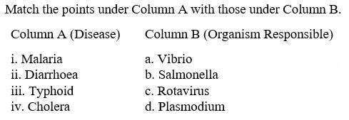 Figure for question 13