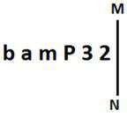 Figure for question 21