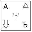 Figure for question 10, option (c)