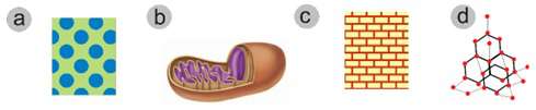 Figure for question 9