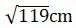 Figure for question 9, option (b)