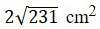 Figure for question 20, option (a)
