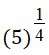 Figure for question 24, option (d)