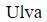Figure for question 12, option (b)