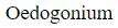Figure for question 12, option (d)