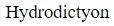Figure for question 12, option (a)