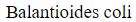 Figure for question 23, option (b)