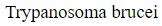 Figure for question 23, option (a)