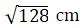 Figure for question 15, option (c)