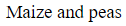 Figure for question 10, option (a)