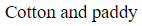 Figure for question 10, option (c)
