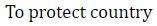 Figure for question 13, option (d)