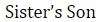 Figure for question 17, option (d)