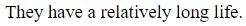 Figure for question 9, option (d)