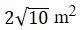 Figure for question 10, option (b)