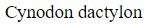 Figure for question 20, option (b)