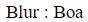 Figure for question 11, option (c)