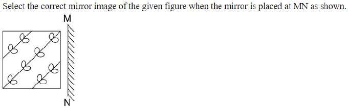 Figure for question 24